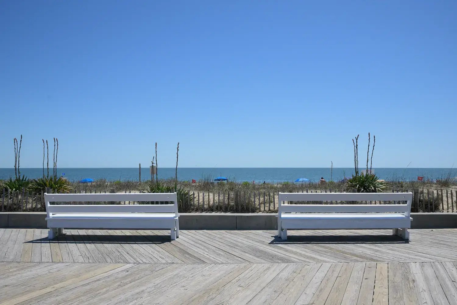 Rehoboth Beach Town Photos_57