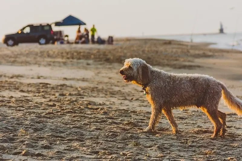 johnell-pannell-r3wiqyh0irc-unsplash